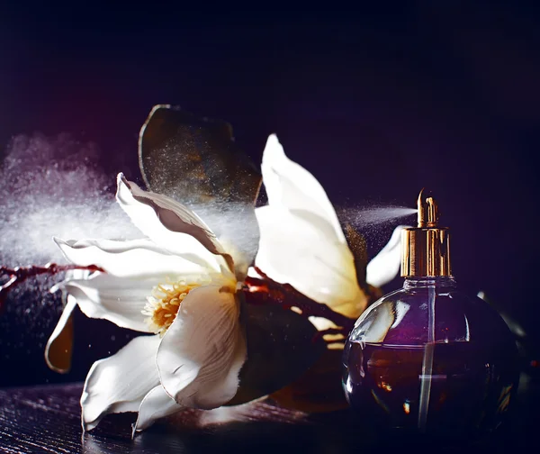 Fragrâncias: Escolha o Perfume Certo para cada Momento